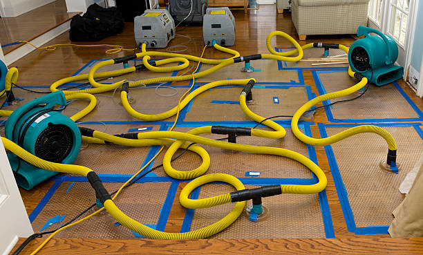 Professional Structural Drying And Dehumidification technician working in Saint Clairsville, OH