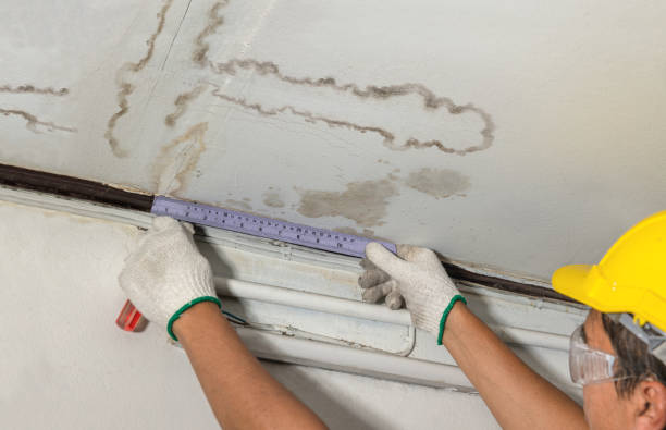 Affordable Water Damage Repair solutions in Saint Clairsville, OH